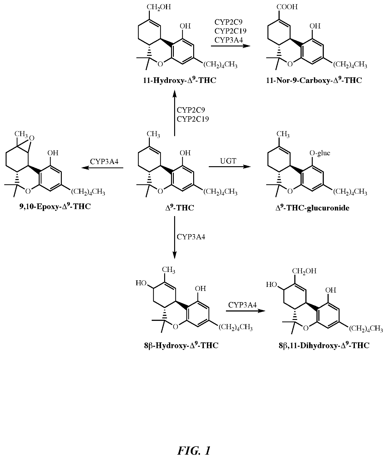 Pharmacodynamic Model for Determining Last Use of Inhaled and Oral Cannabis Products