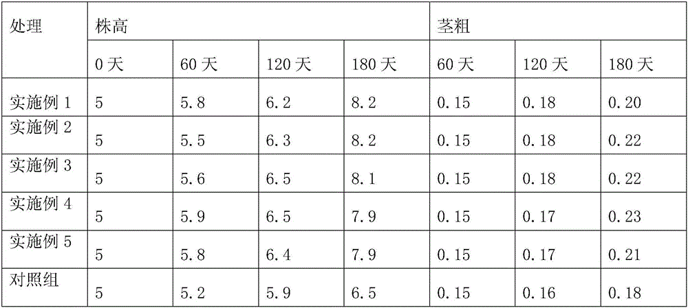 Planting substrate for dendrobium officinale and preparation method for planting substrate