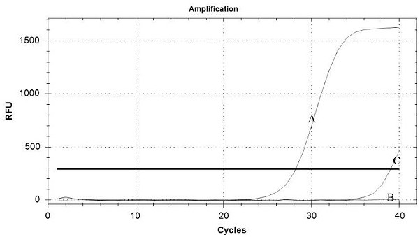 A kind of primer combination, probe combination and its application in detecting porcine virus, detection reagent, kit and detection method