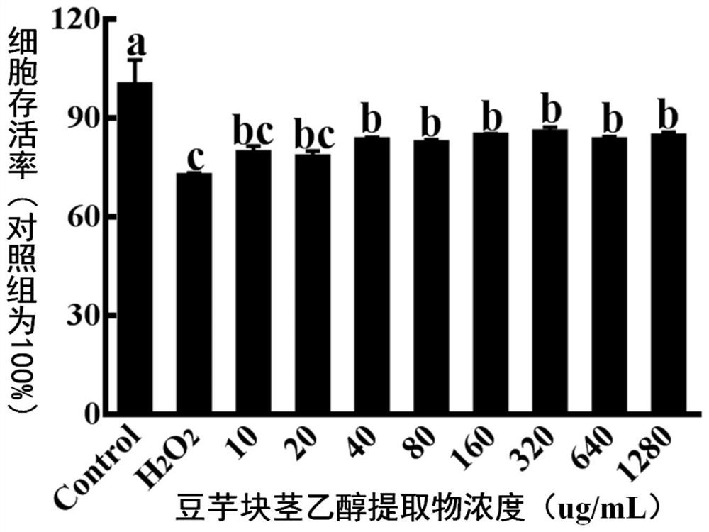 Preparation method and antioxidative application of bean taro tuber ethanol extract