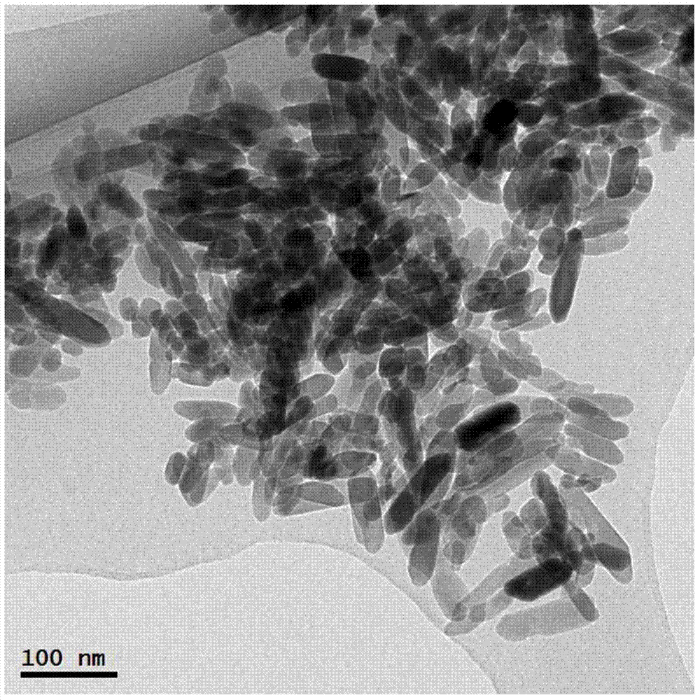 Highly pure brookite type titanium dioxide nanosheet, and preparation method and application thereof