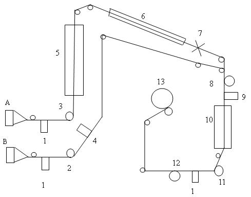 Preparation method of novel wool-like differential fibers