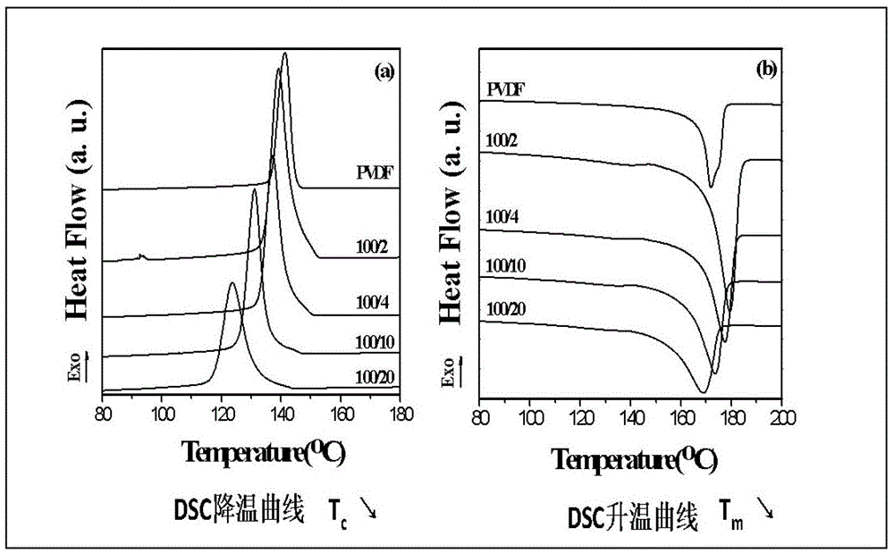 Transparent permanent antistatic transparent polyvinylidene fluoride composition and preparation method thereof