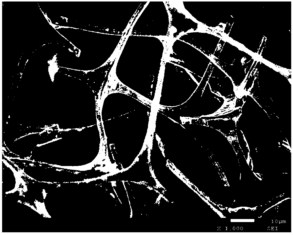 Porous nitrogen-doped carbon/Fe2O3/graphene foamed flexible composite material and preparation method and application thereof