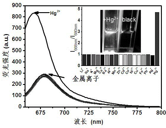 Mono-sulfo squarylium dye fluorescence probe for detecting mercury ions and preparation method thereof