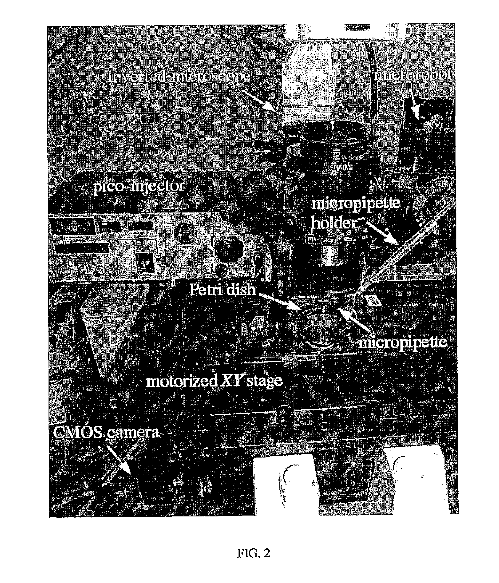 System and method for micromanipulating samples