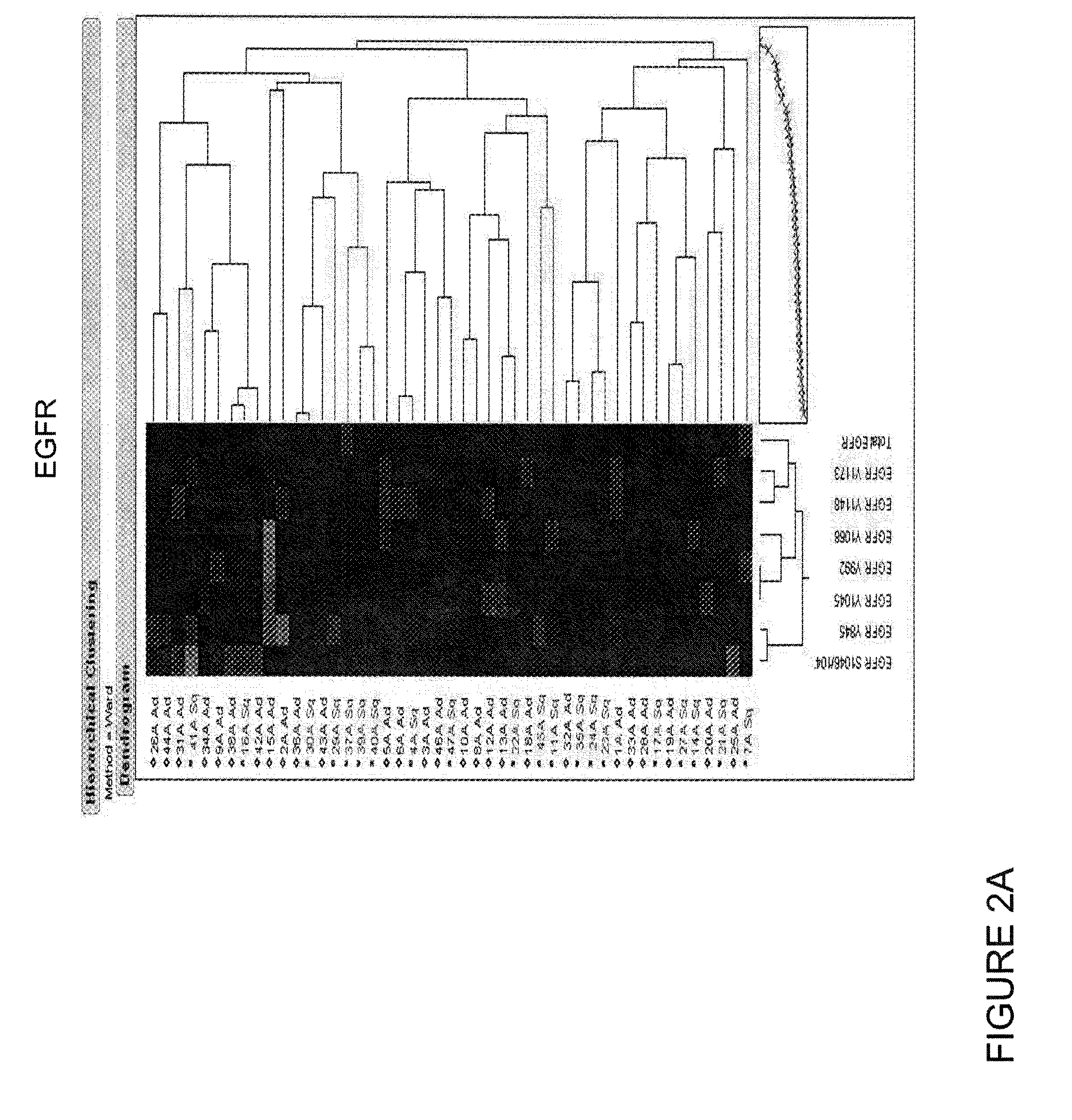 Identification and Treatment of Aggressive Lung Cancer Tumors