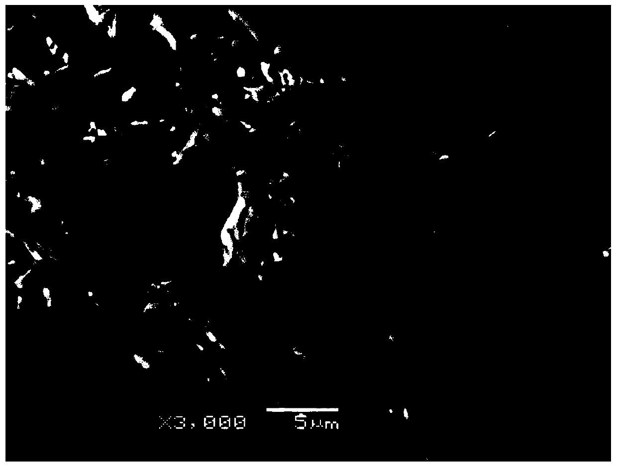 Preparation method and application of three-dimensional dendritic crystal porous silicon