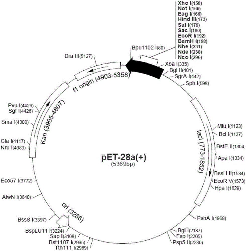 Chicken infectious rhinitis subunit vaccine and preparing method thereof