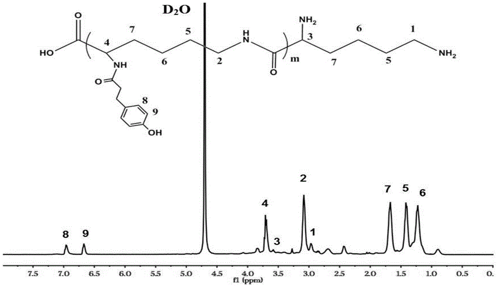 A kind of ε-polylysine-p-hydroxyphenylpropionic acid antibacterial hydrogel dressing and preparation method thereof