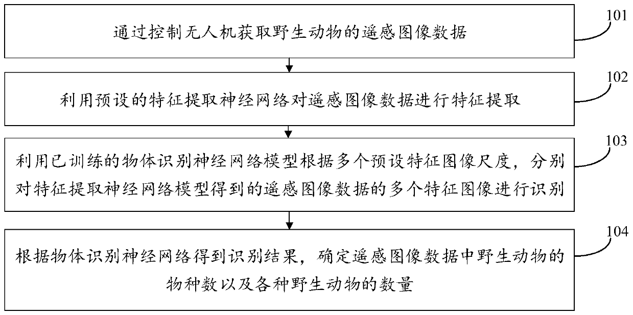 Wild animal information acquisition method and device based on unmanned aerial vehicle