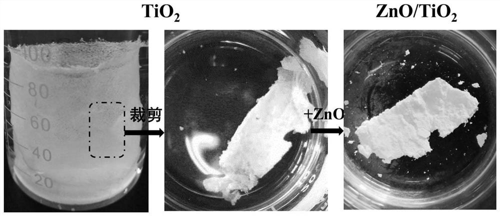 Composite photocatalyst film as well as preparation method and application thereof