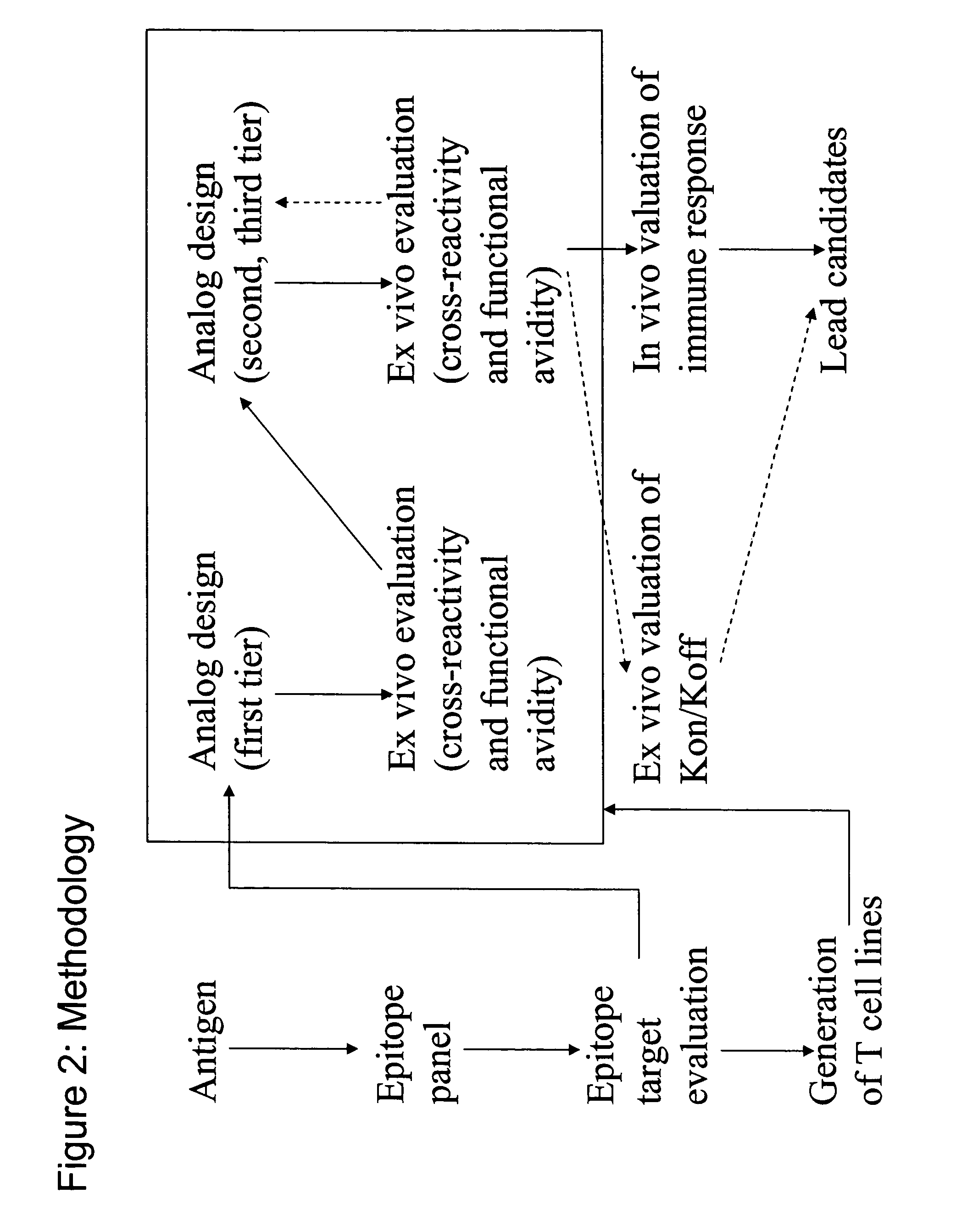 PSMA peptide analogues