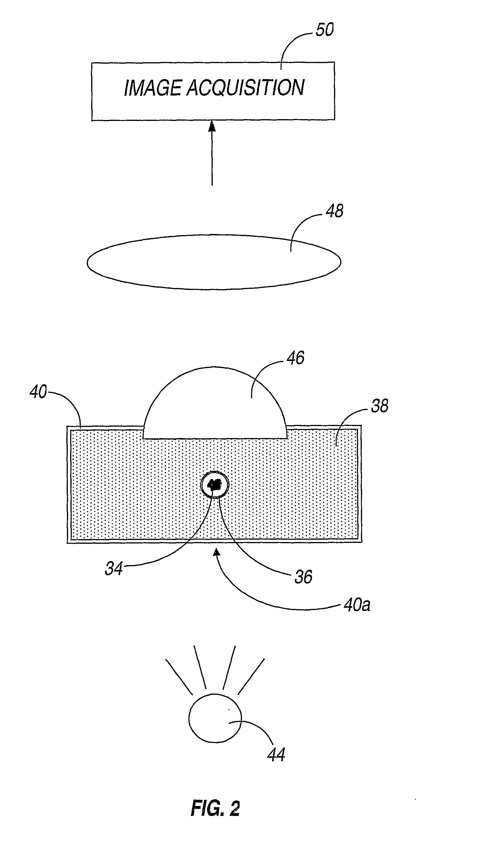 Cryogenic Immersion Microscope