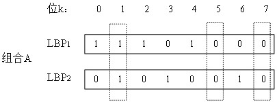 Feature extraction method for low-quality finger vein images