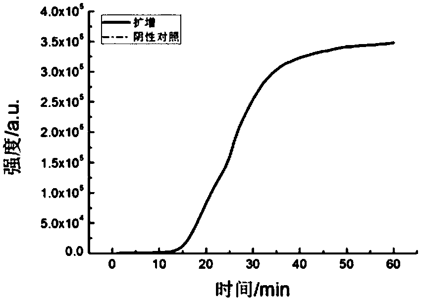 LAMP (loop-mediated isothermal amplification) primer group and kit for amplifying influenza A virus (IAV)