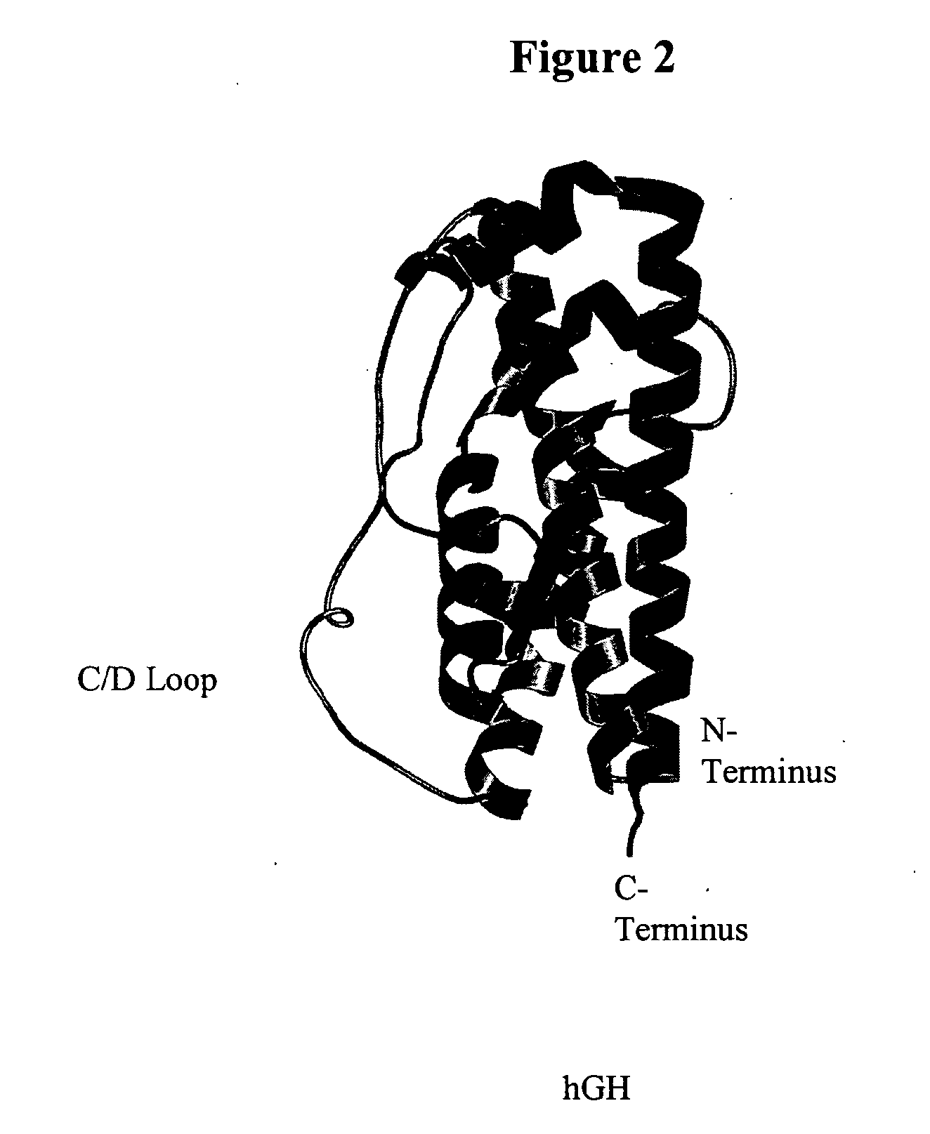 Modified Human Growth Hormone