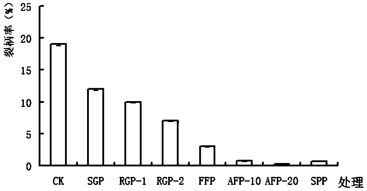 Foliar fertilizer for preventing ananas comosus from having carpopodium cracking and fruit cracking, application of foliar fertilizer in planting of ananas comosus and foliar fertilizer spray agent