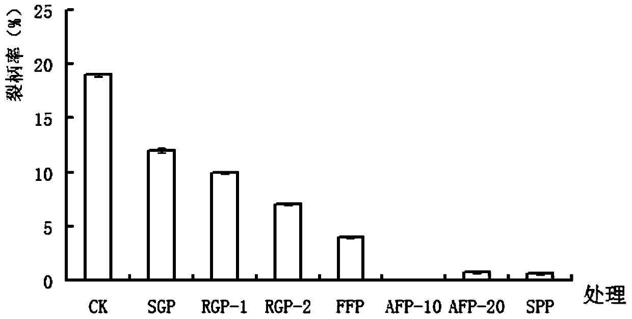 Foliar fertilizer for preventing ananas comosus from having carpopodium cracking and fruit cracking, application of foliar fertilizer in planting of ananas comosus and foliar fertilizer spray agent