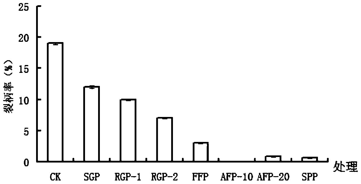 Foliar fertilizer for preventing ananas comosus from having carpopodium cracking and fruit cracking, application of foliar fertilizer in planting of ananas comosus and foliar fertilizer spray agent