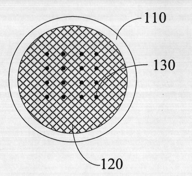 Biochip and production method thereof