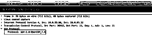 Operation and maintenance auditing system hybrid protocol agent system and method