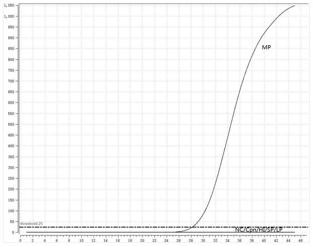 Primer probe group and kit for combined detection of mycoplasma pneumoniae and chlamydia pneumoniae based on fluorescence RMA method