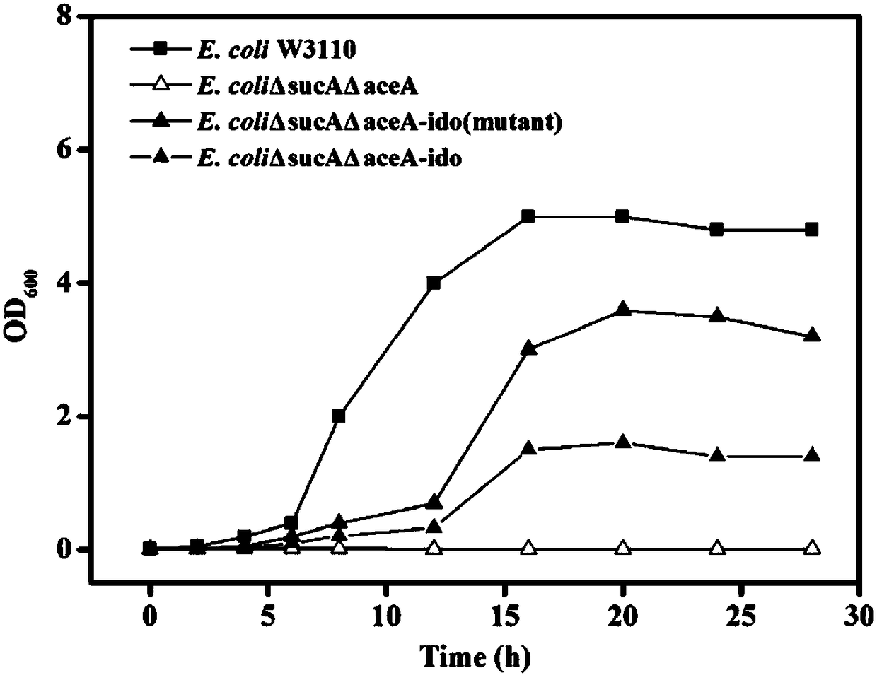 Screening method for Fe&lt;2+&gt; and alpha-ketoglutaric acid-dependent hydroxylase and isoleucine hydroxylase