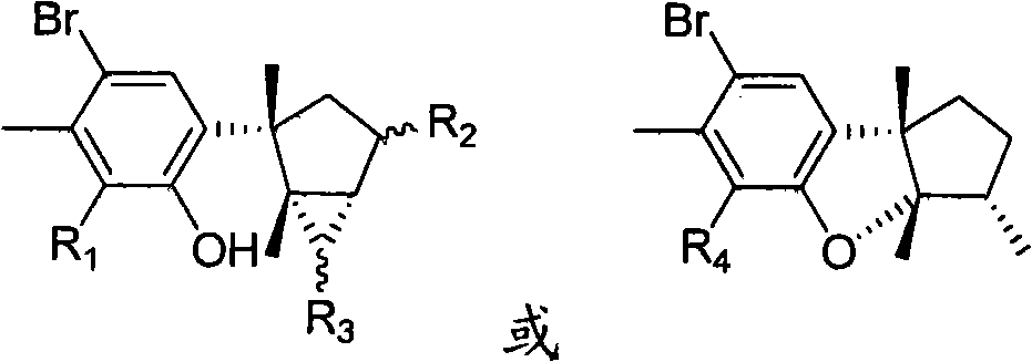 Laurane type sesquiterpene compound or derivative thereof and preparation method and application thereof