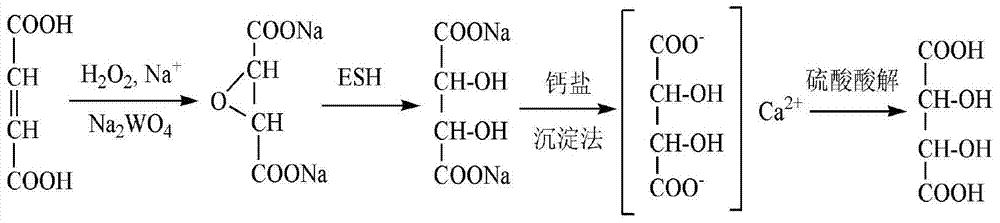 Method for synthesizing calcium epoxysuccinate suspension and method for producing l‑(+)‑tartaric acid