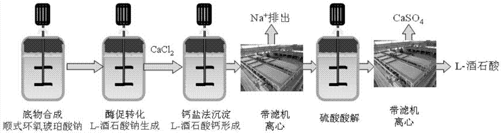 Method for synthesizing calcium epoxysuccinate suspension and method for producing l‑(+)‑tartaric acid