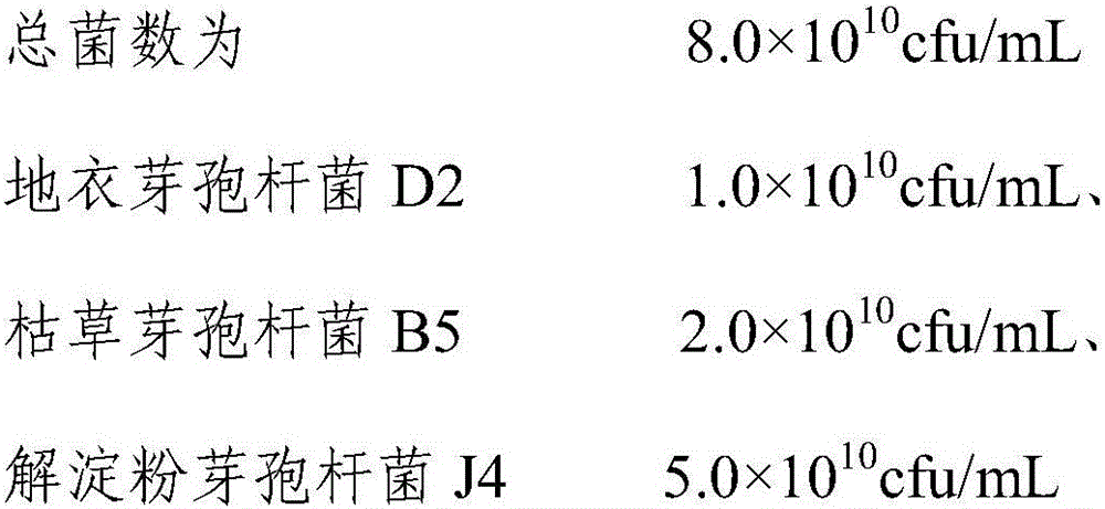 Bacillus bacterium agent for nightshade crops as well as production method and application thereof