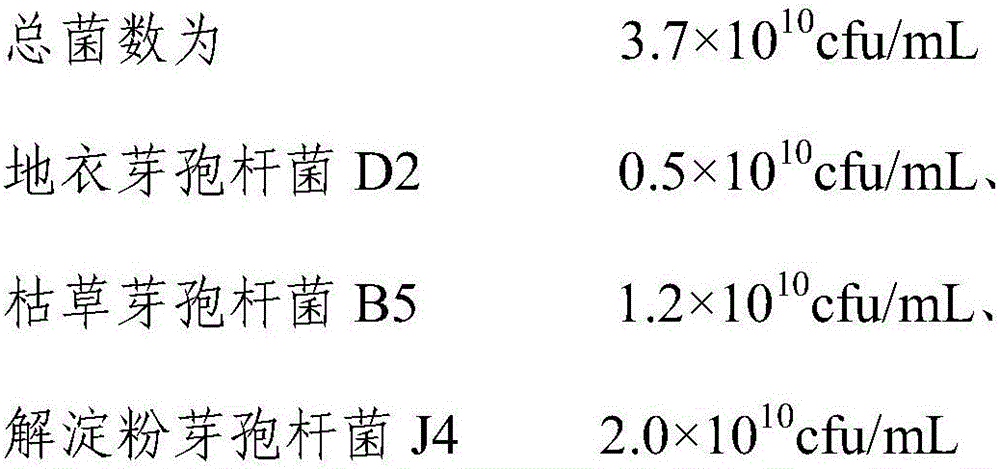 Bacillus bacterium agent for nightshade crops as well as production method and application thereof