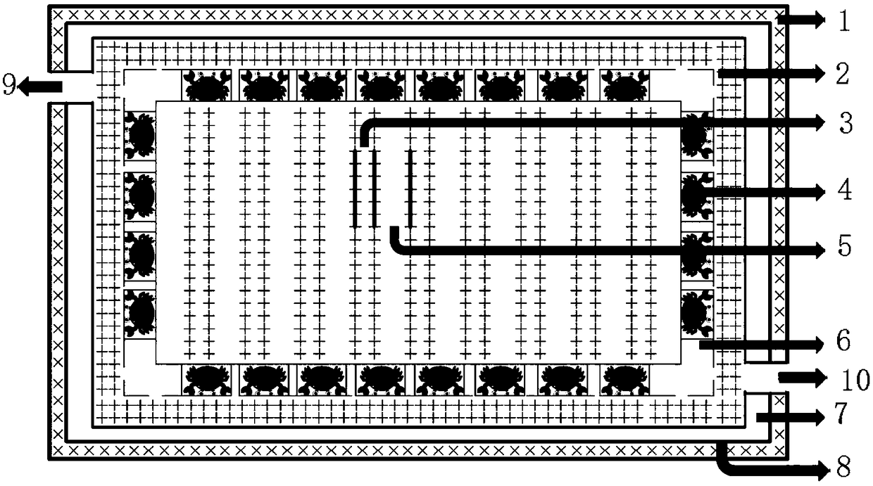 Method for mixed breeding of adult crabs and young carbs in paddy field