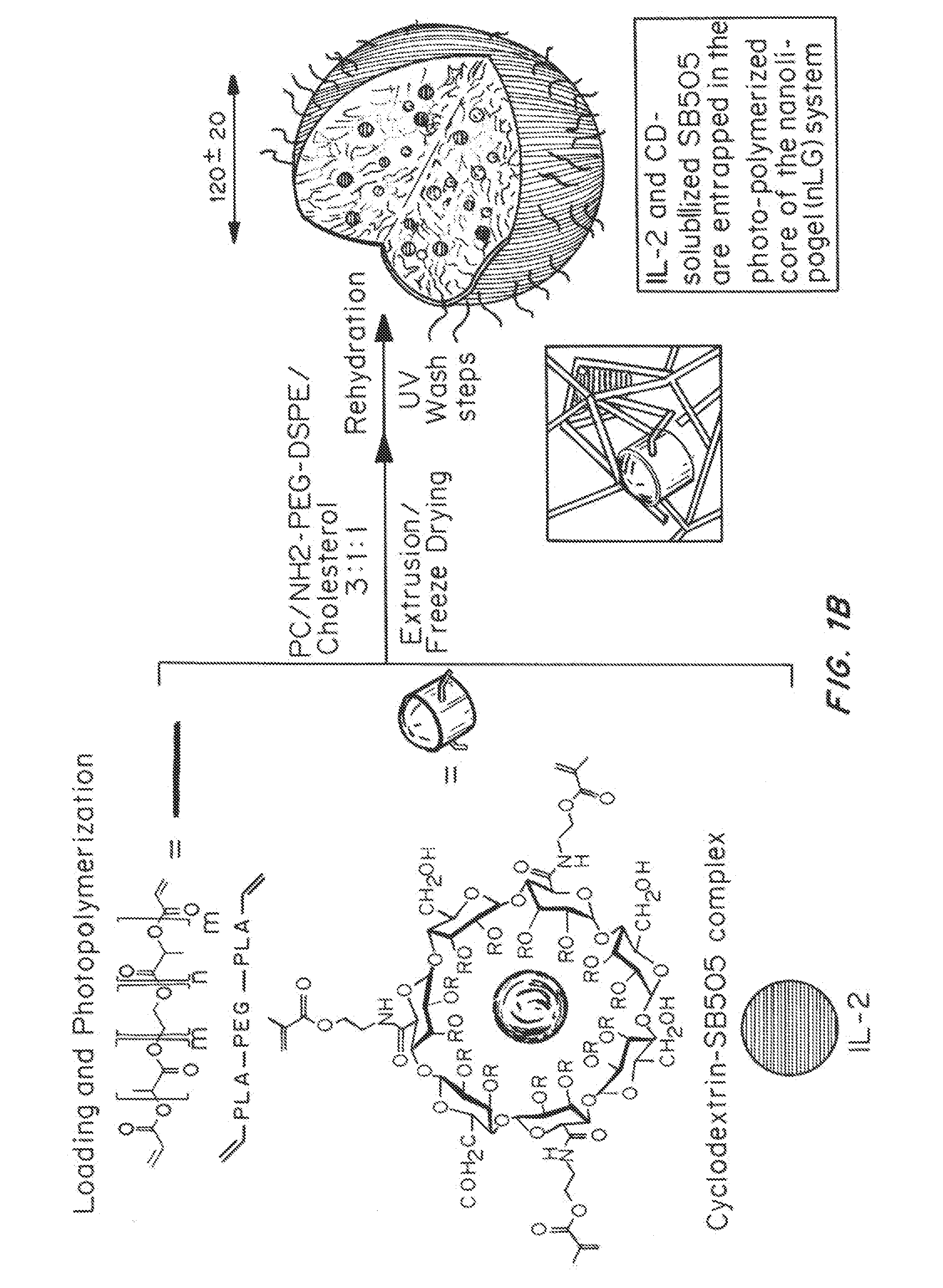 Vehicles for Controlled Delivery of Different Pharmaceutical Agents