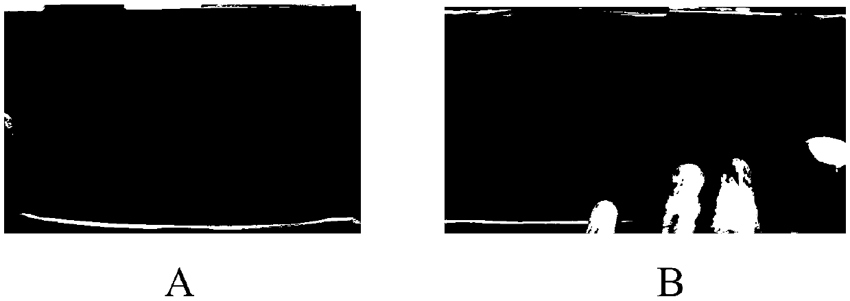 Formation capacity grading method of lithium ion battery