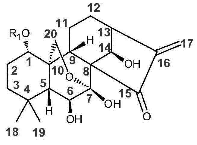 Water-soluble rubescensin a derivative and preparation method thereof