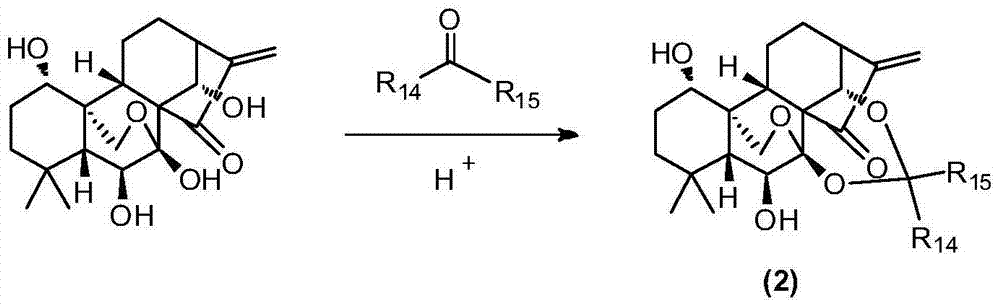 Water-soluble rubescensin a derivative and preparation method thereof