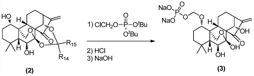 Water-soluble rubescensin a derivative and preparation method thereof