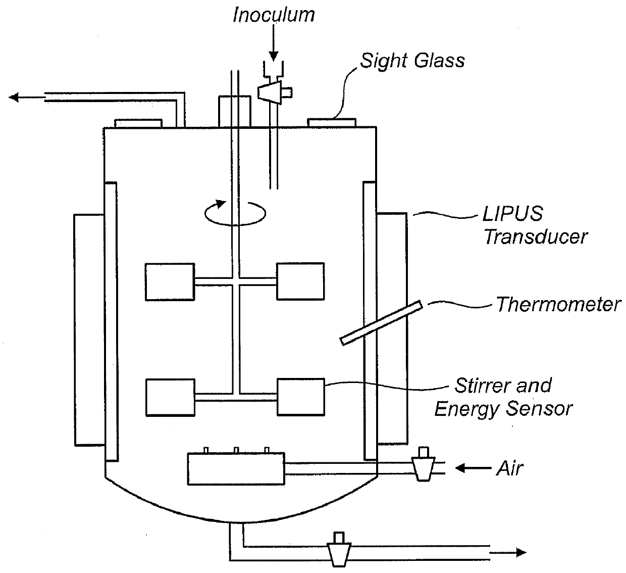 Ultrasound enhanced growth of microorganisms