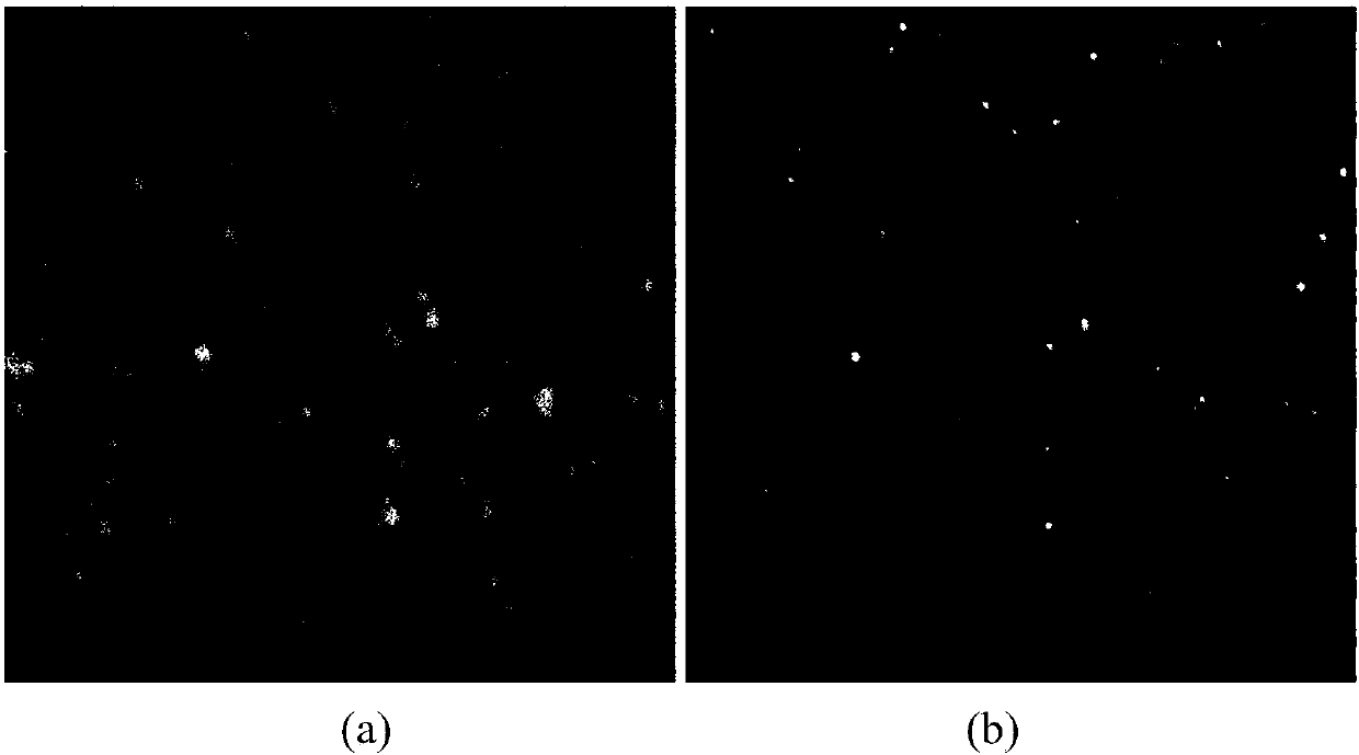 Super-resolution fluorescent lifetime imaging method and device based on parallel detection