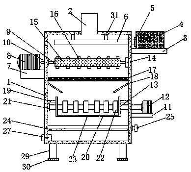 Washing machine capable of quickly washing bean sprouts