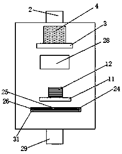 Washing machine capable of quickly washing bean sprouts