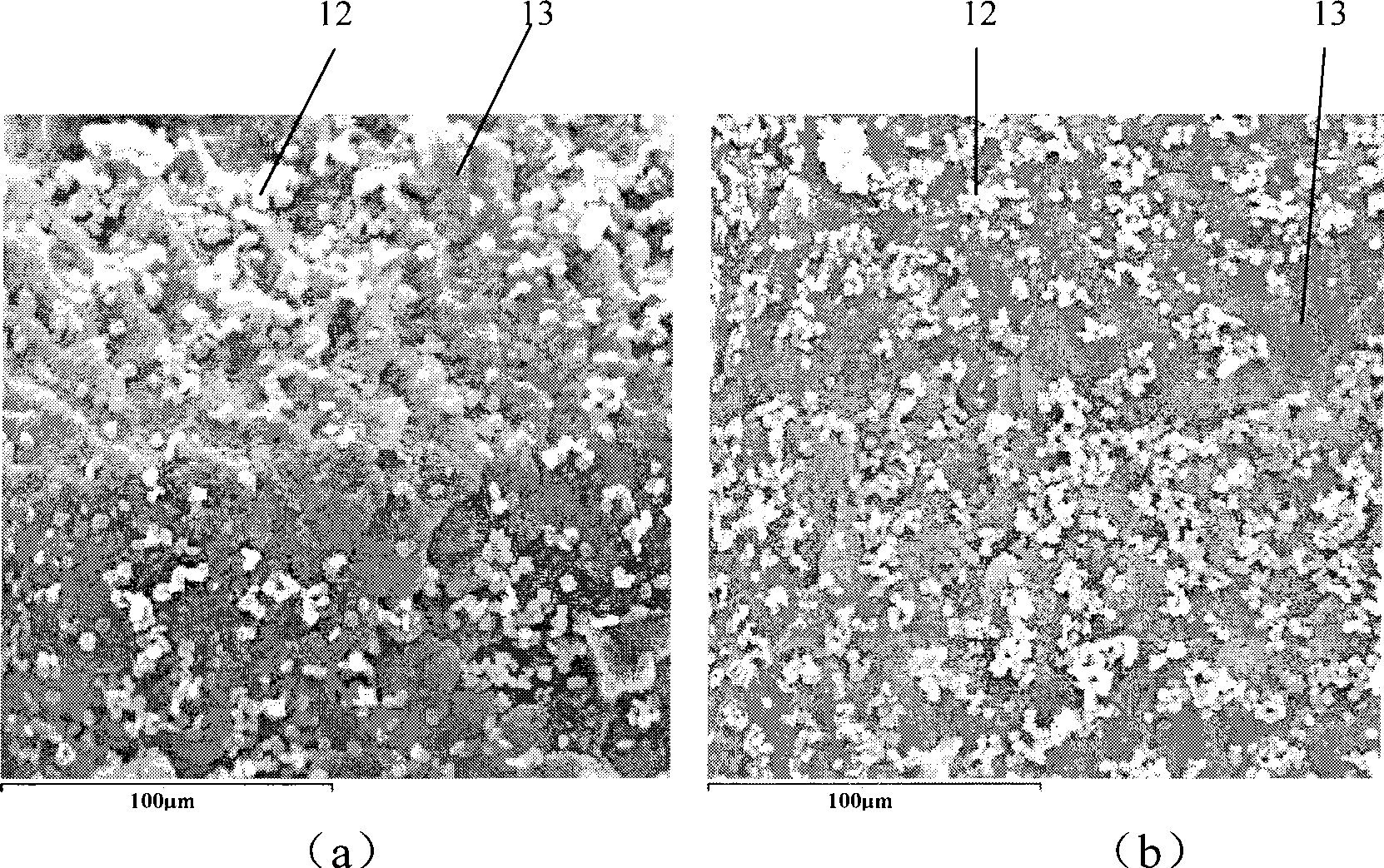 Method for preparing thermoplastic elastomer by supercritical fluid assisted dynamic vulcanization