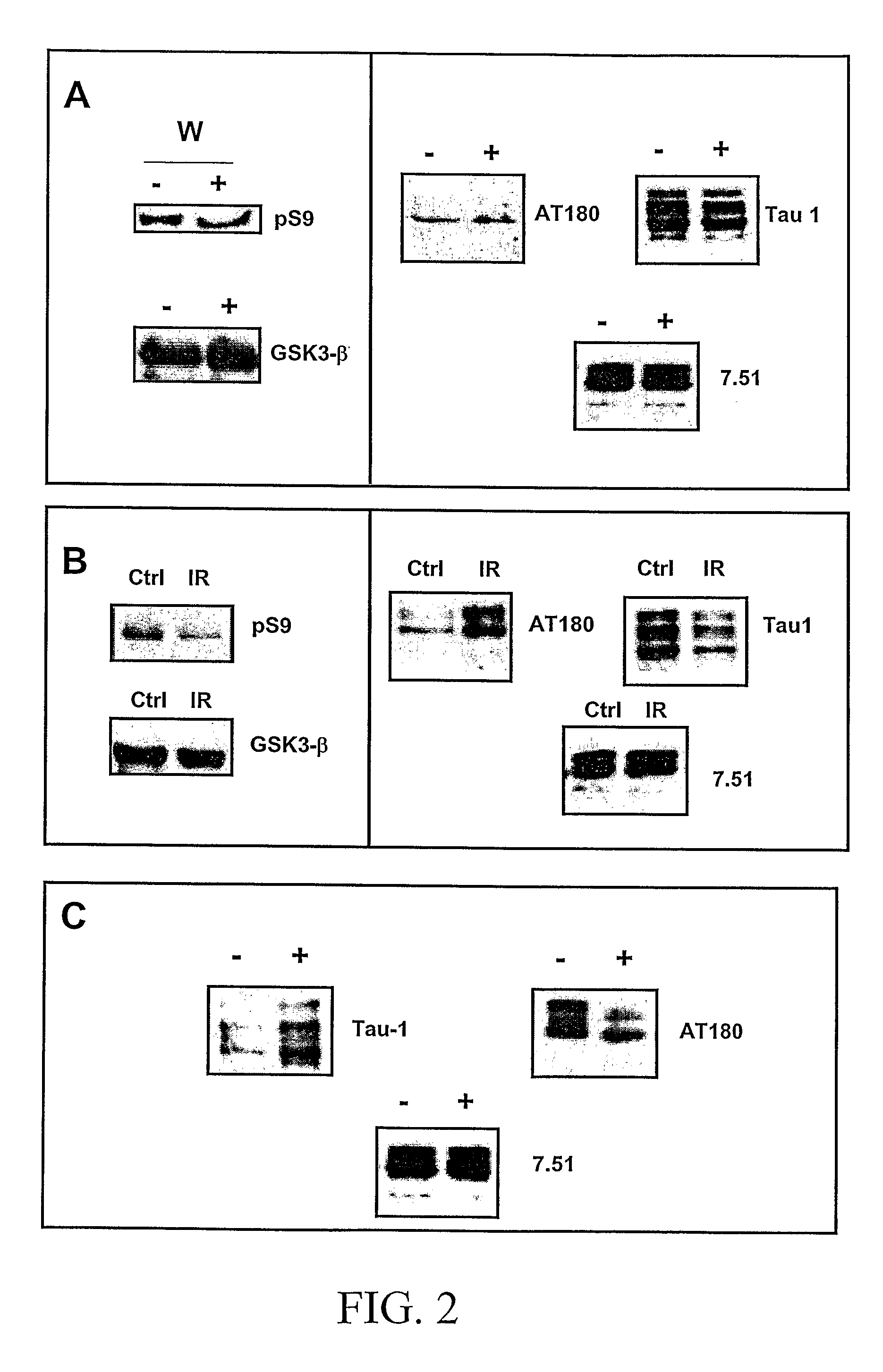 Pharmaceutical Compositions for the Treatment of Neurodegenerative Disorders