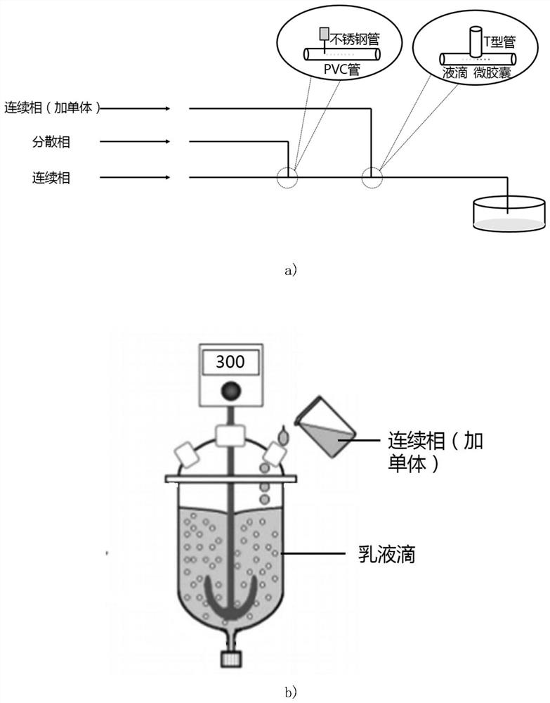 Process for the preparation of membrane-coated crystals by crystallization within microcapsules