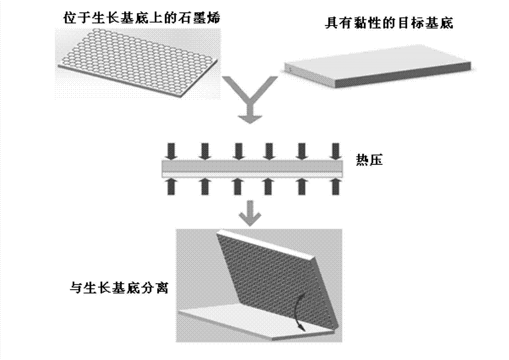 Method for rapidly and nondestructively transferring graphene