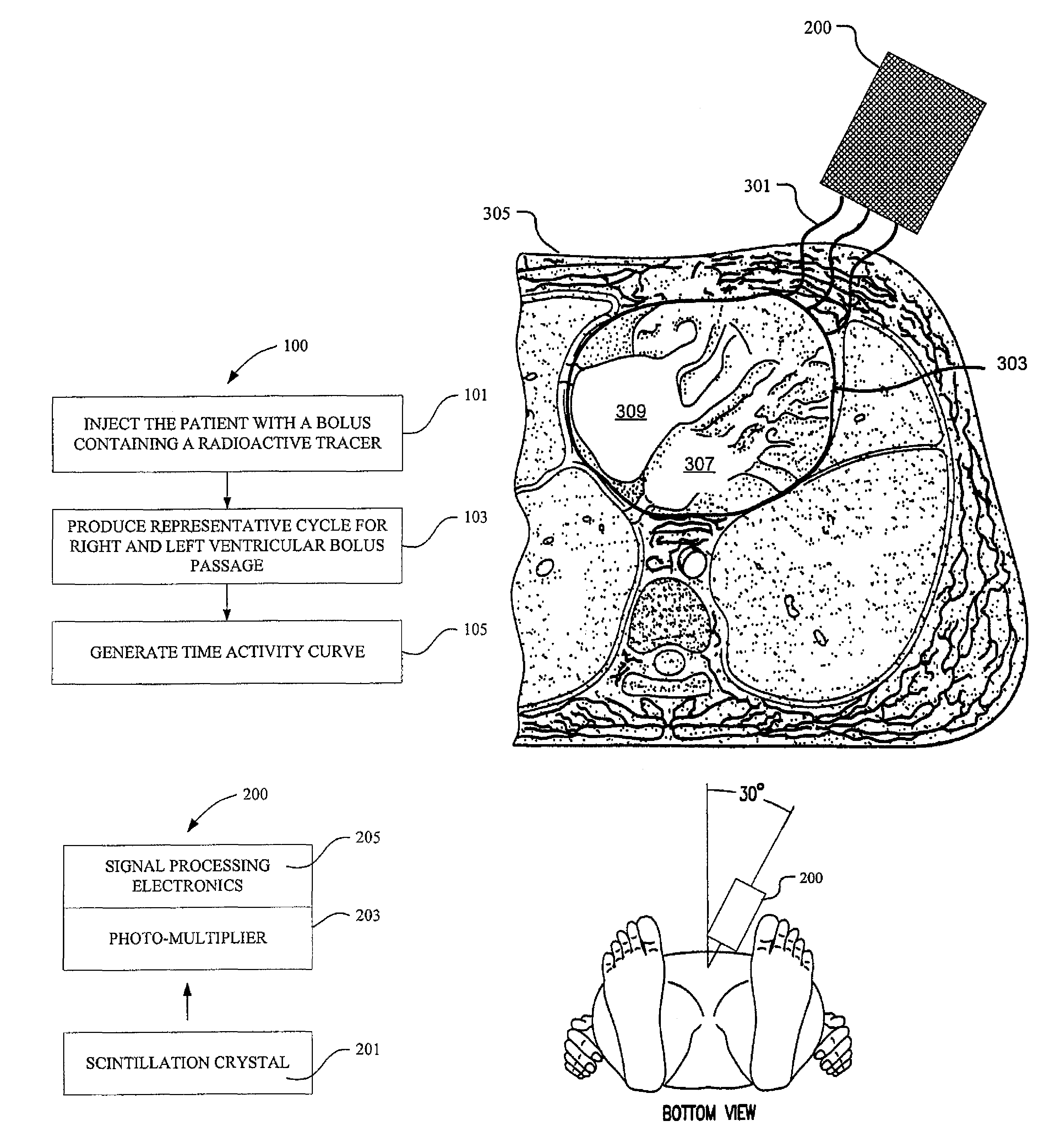 System and method for imaging myocardial infarction