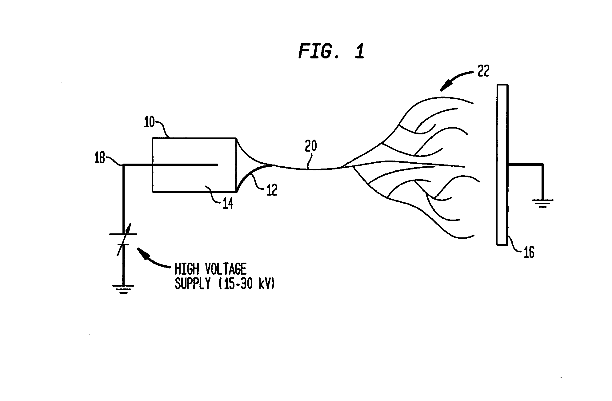 Production of tissue engineered digits and limbs