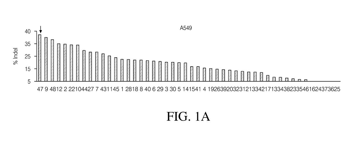 Ribonucleoprotein transfection agents